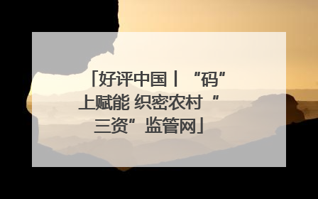 好评中国丨“码”上赋能 织密农村“三资”监管网