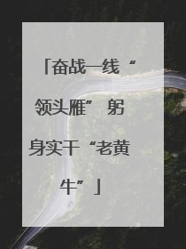 奋战一线“领头雁” 躬身实干“老黄牛”