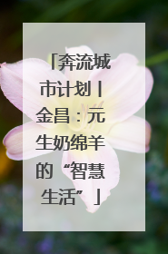 奔流城市计划丨金昌：元生奶绵羊的“智慧生活”