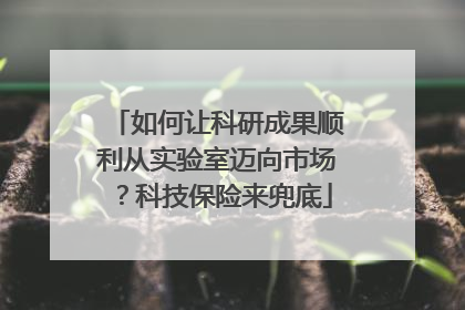 如何让科研成果顺利从实验室迈向市场？科技保险来兜底