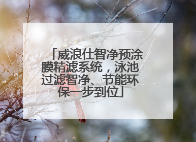 威浪仕智净预涂膜精滤系统，泳池过滤智净、节能环保一步到位