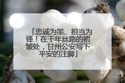 忠诚为墨、担当为锋！在千年丝路的褶皱处，甘州公安写下平安的注脚