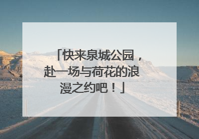 快来泉城公园，赴一场与荷花的浪漫之约吧！