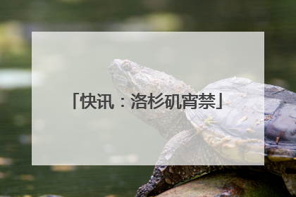 快讯：洛杉矶宵禁