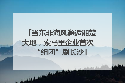 当东非海风邂逅湘楚大地，索马里企业首次“组团”刷长沙