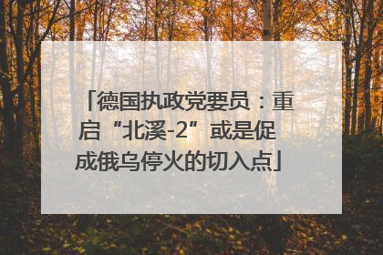 德国执政党要员：重启“北溪-2”或是促成俄乌停火的切入点