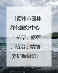德州市园林绿化服务中心：抗旱、修剪、防治，精细养护保绿荫