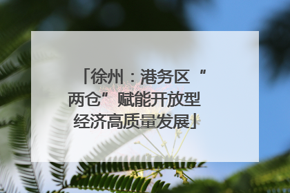 徐州：港务区“两仓”赋能开放型经济高质量发展
