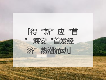 得“新”应“首” 海安“首发经济”热潮涌动