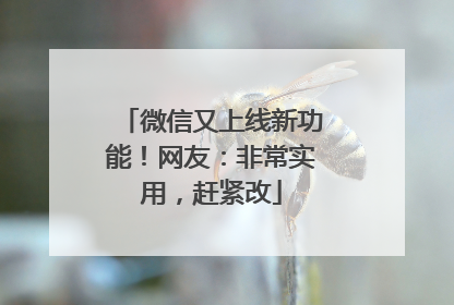微信又上线新功能！网友：非常实用，赶紧改