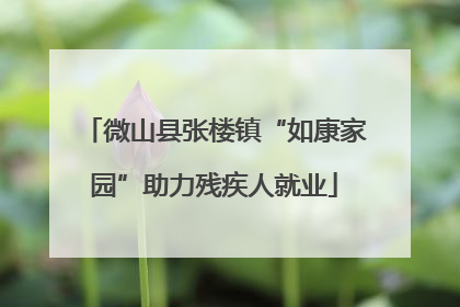 微山县张楼镇“如康家园”助力残疾人就业
