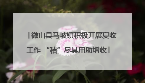 微山县马坡镇积极开展夏收工作 “秸”尽其用助增收