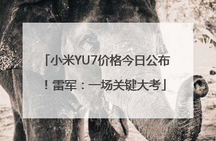 小米YU7价格今日公布！雷军：一场关键大考
