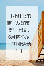 小红书电商“友好市集”上线，6月将举办“开业活动”
