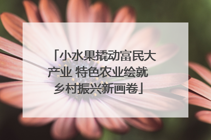 小水果撬动富民大产业 特色农业绘就乡村振兴新画卷