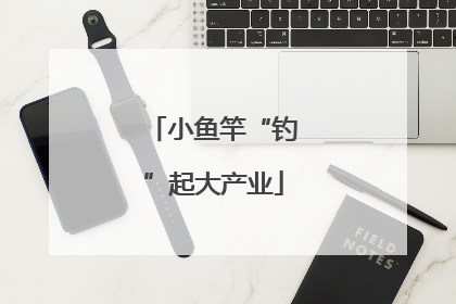 小鱼竿“钓”起大产业