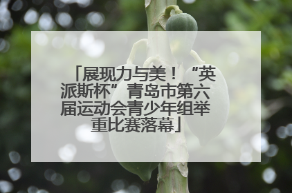 展现力与美！“英派斯杯”青岛市第六届运动会青少年组举重比赛落幕