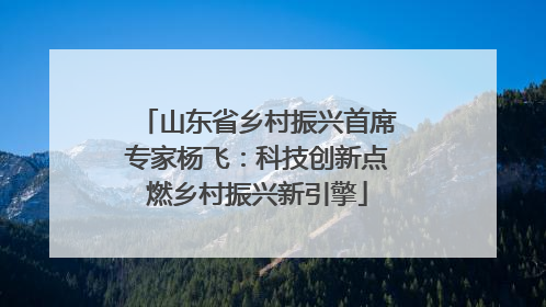 山东省乡村振兴首席专家杨飞：科技创新点燃乡村振兴新引擎