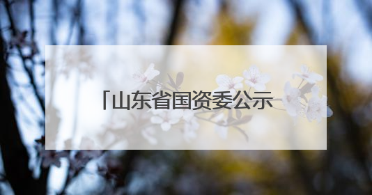 山东省国资委公示省属企业“两优一先”拟表彰对象名单，共250名（个）党员和党组织