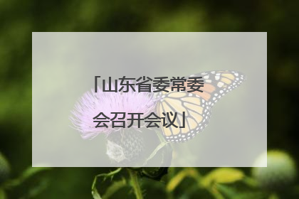 山东省委常委会召开会议