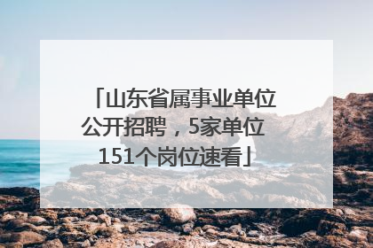 山东省属事业单位公开招聘，5家单位151个岗位速看