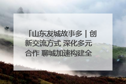 山东友城故事多｜创新交流方式 深化多元合作 聊城加速构建全球友城新格局
