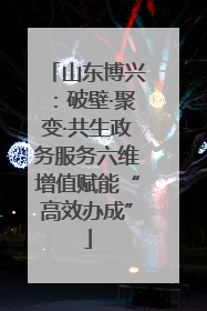 山东博兴：破壁·聚变·共生政务服务六维增值赋能“高效办成”