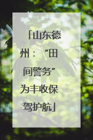山东德州：“田间警务”为丰收保驾护航