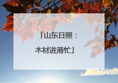 山东日照：木材进港忙