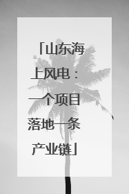 山东海上风电：一个项目落地一条产业链