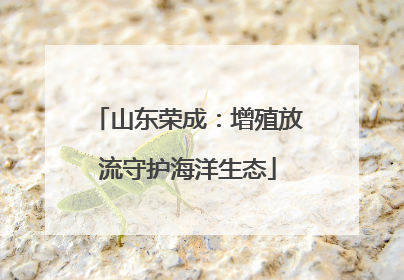 山东荣成：增殖放流守护海洋生态