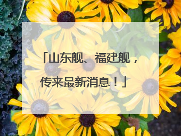 山东舰、福建舰，传来最新消息！