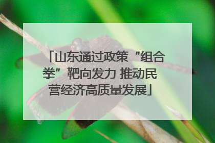 山东通过政策“组合拳”靶向发力 推动民营经济高质量发展
