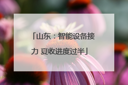 山东：智能设备接力 夏收进度过半