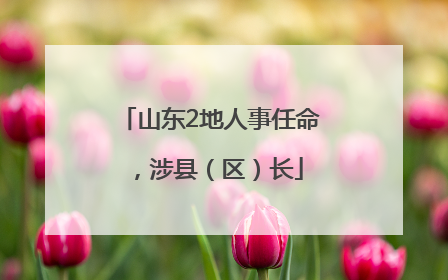 山东2地人事任命，涉县（区）长