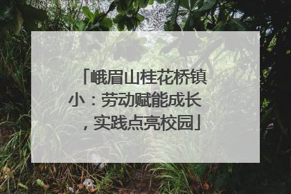 峨眉山桂花桥镇小：劳动赋能成长，实践点亮校园
