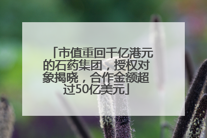 市值重回千亿港元的石药集团，授权对象揭晓，合作金额超过50亿美元