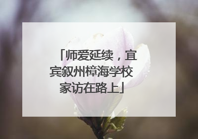 师爱延续，宜宾叙州樟海学校家访在路上