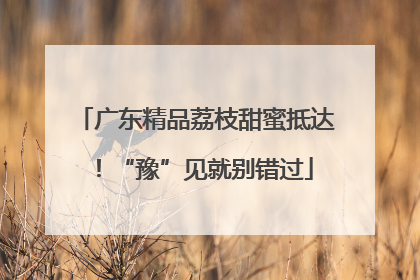 广东精品荔枝甜蜜抵达！“豫”见就别错过