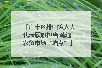 广丰区排山镇人大代表履职担当 疏通农贸市场“堵点”