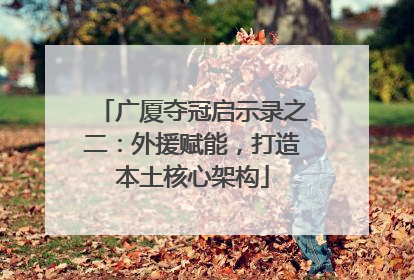 广厦夺冠启示录之二：外援赋能，打造本土核心架构