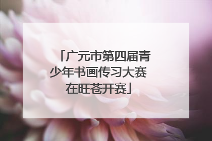 广元市第四届青少年书画传习大赛在旺苍开赛
