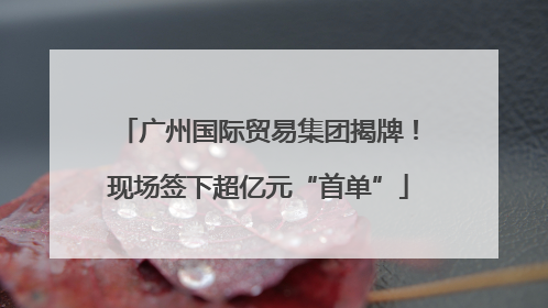 广州国际贸易集团揭牌！现场签下超亿元“首单”