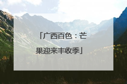 广西百色：芒果迎来丰收季