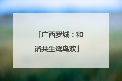 广西罗城：和谐共生鹭鸟欢