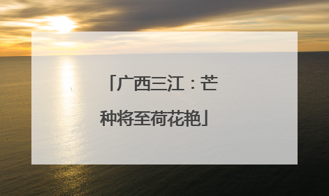 广西三江：芒种将至荷花艳