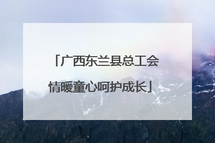 广西东兰县总工会情暖童心呵护成长