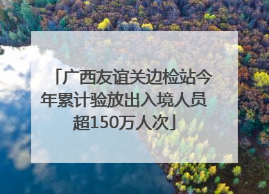 广西友谊关边检站今年累计验放出入境人员超150万人次