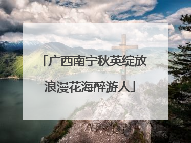 广西南宁秋英绽放 浪漫花海醉游人