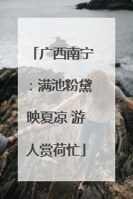 广西南宁：满池粉黛映夏凉 游人赏荷忙